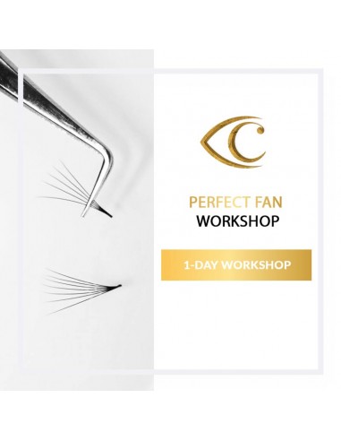 Perfect Fan - Workshop