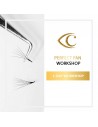 Perfect Fan - Workshop