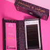 EPIC LASH LINE Savanna Night LAMPARDI x Pimp My Lashes